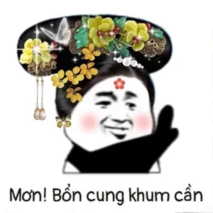 meme từ chối tiếp thu