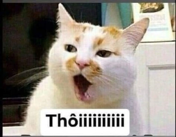 meme từ chối trả lời