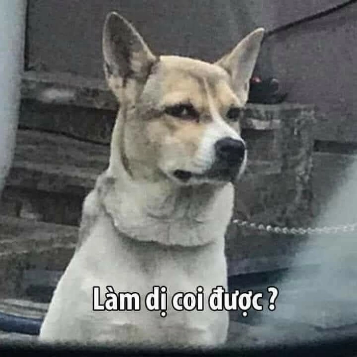 meme tức giận cười