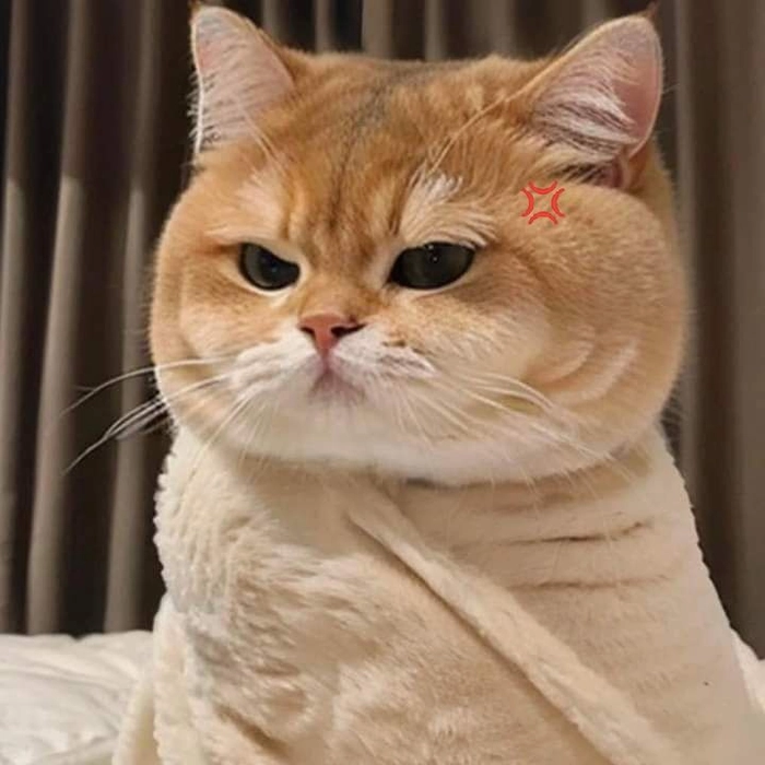 meme tức giận khó chịu