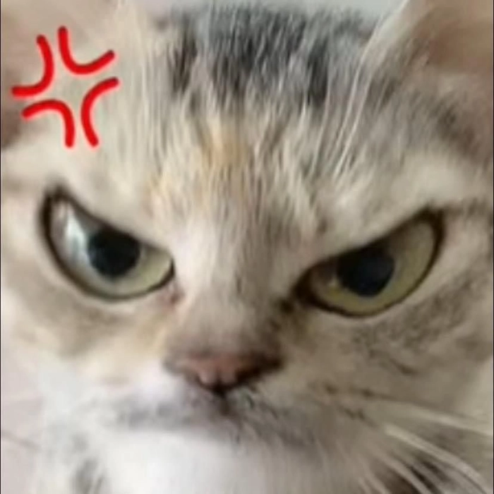 meme tức giận lầy lội