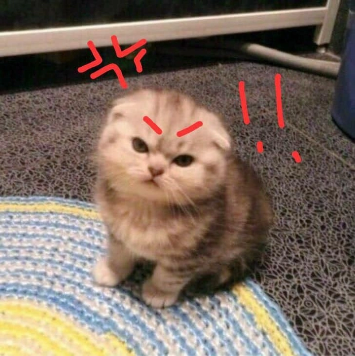meme tức giận troll face