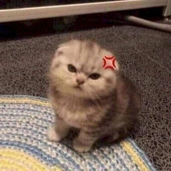 meme tức giận vui nhộn