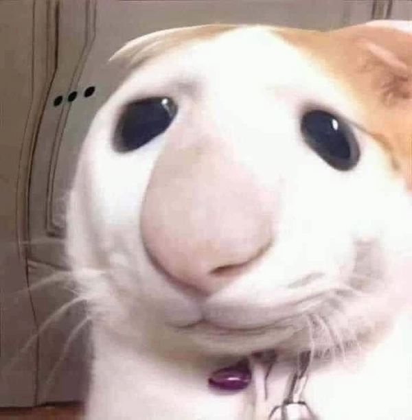 meme vô tri buồn cười