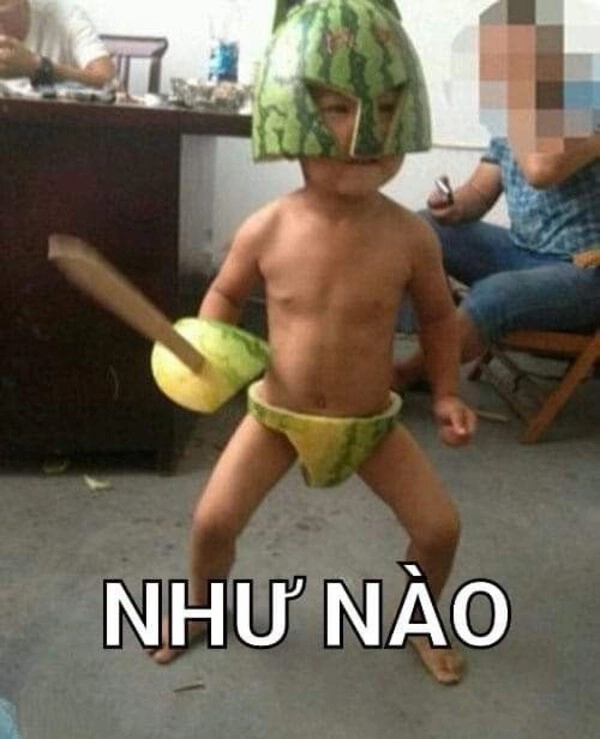 meme vô tri cún