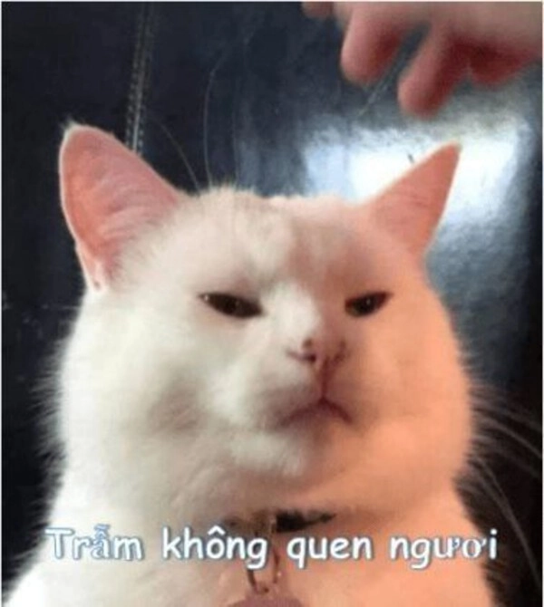 meme vô tri cười