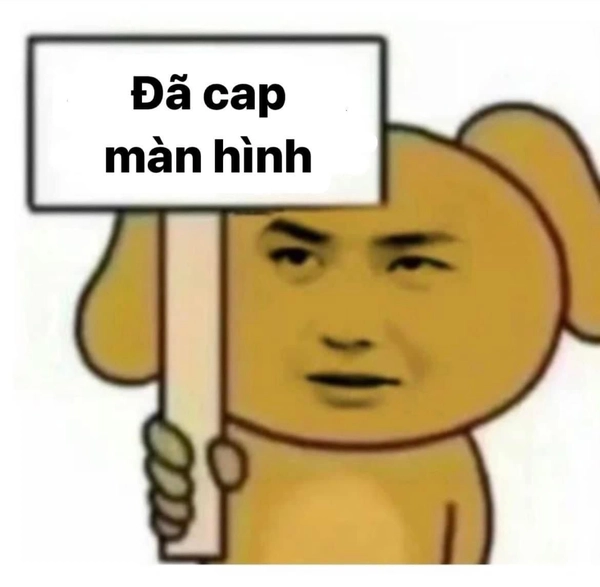 meme vô tri động vật