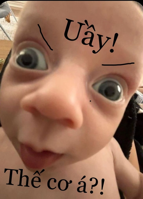 meme vô tri em bé