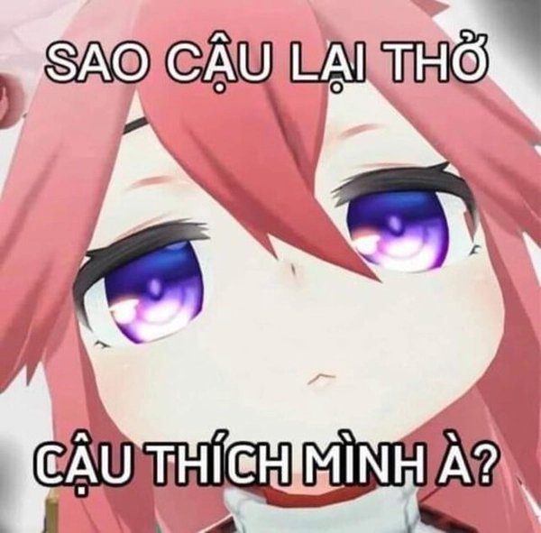 meme vô tri khó hiểu