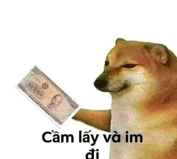 meme vô tri ngơ ngác