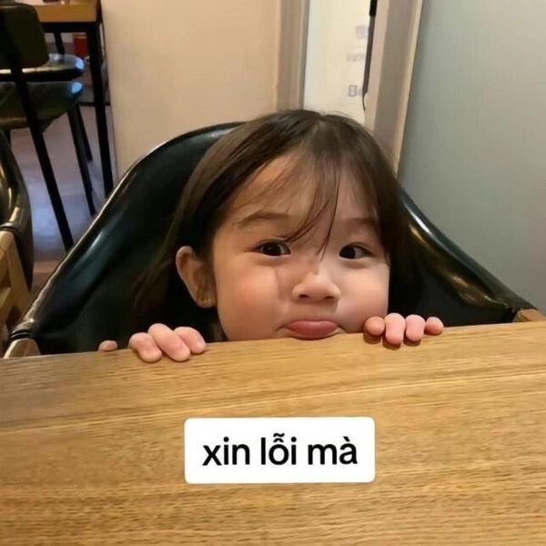 meme xin lỗi đáng yêu hài