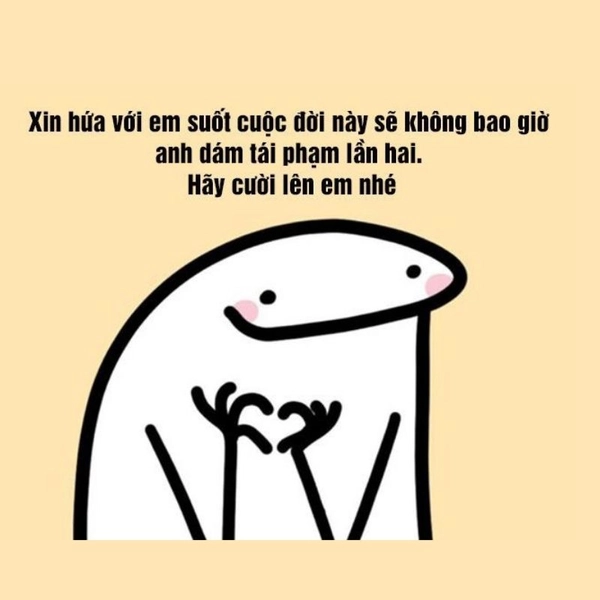meme xin lỗi động vật