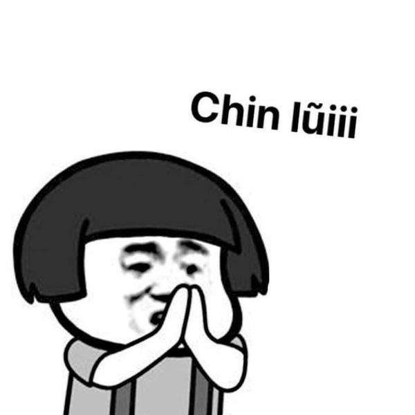 meme xin lỗi gấu trúc