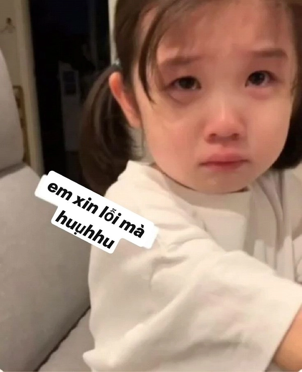 meme xin lỗi hài hước