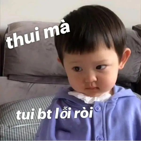 meme xin lỗi ngộ nghĩnh