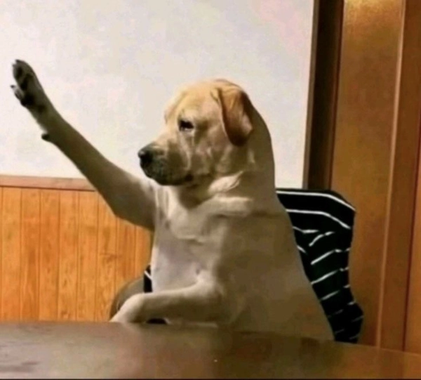 meme xin phép lên tiếng khiến ai cũng bật cười