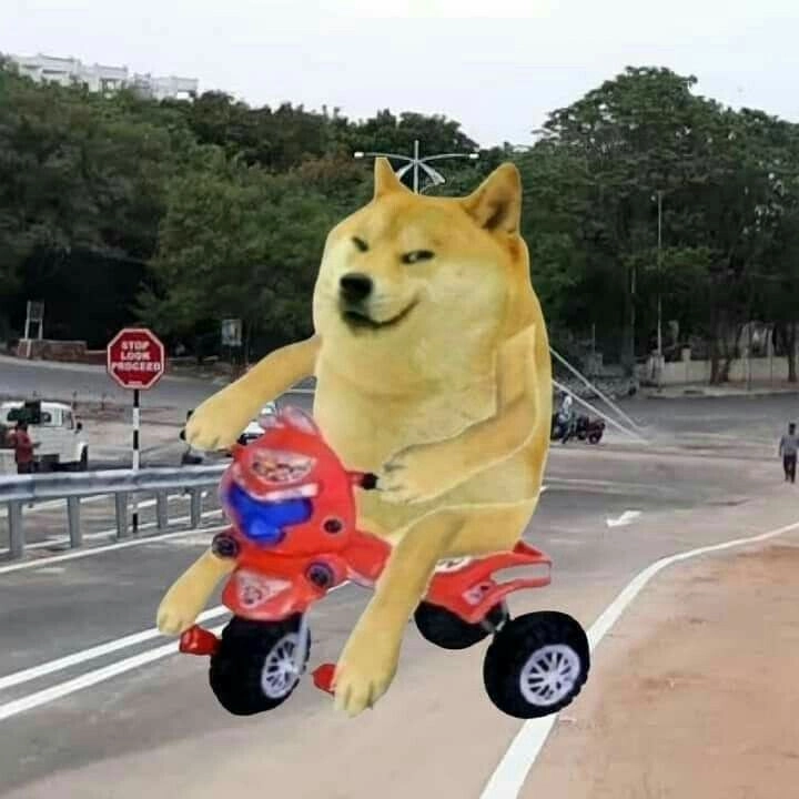 óc chó meme độc đáo