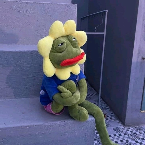 pepe meme troll hài