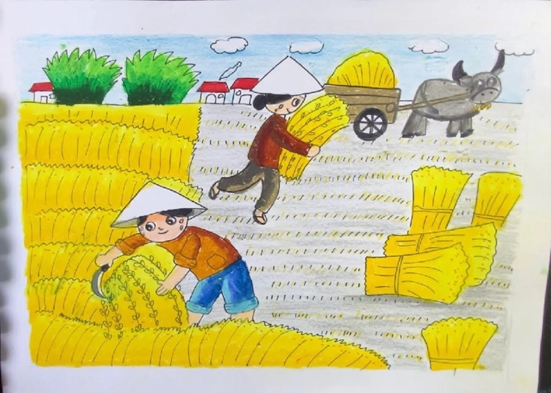 tranh vẽ cảnh mùa gặt