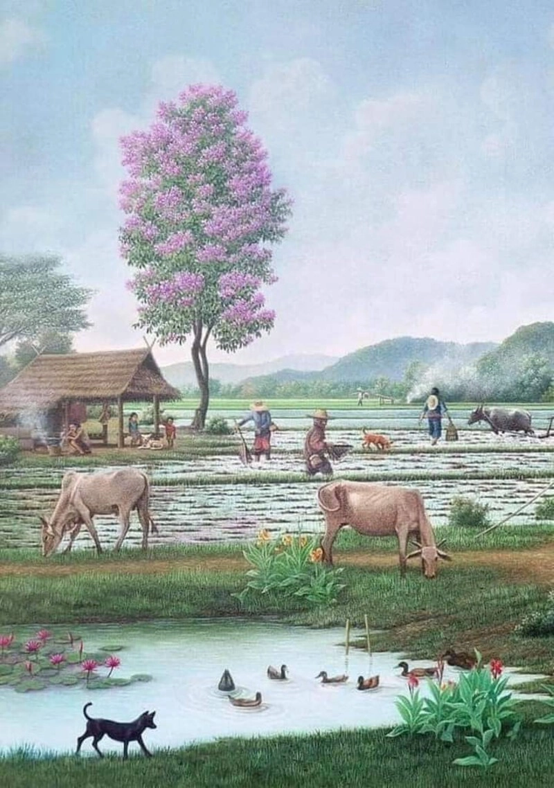 tranh vẽ cày ruộng
