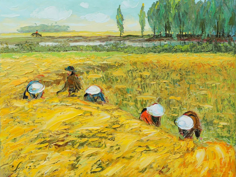 tranh vẽ mùa gặt vàng