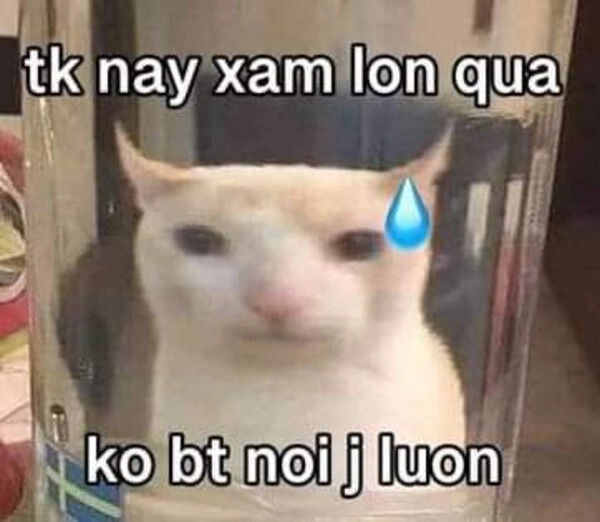 ủa ai biết gì đâu