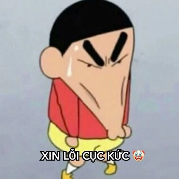 xin lỗi meme
