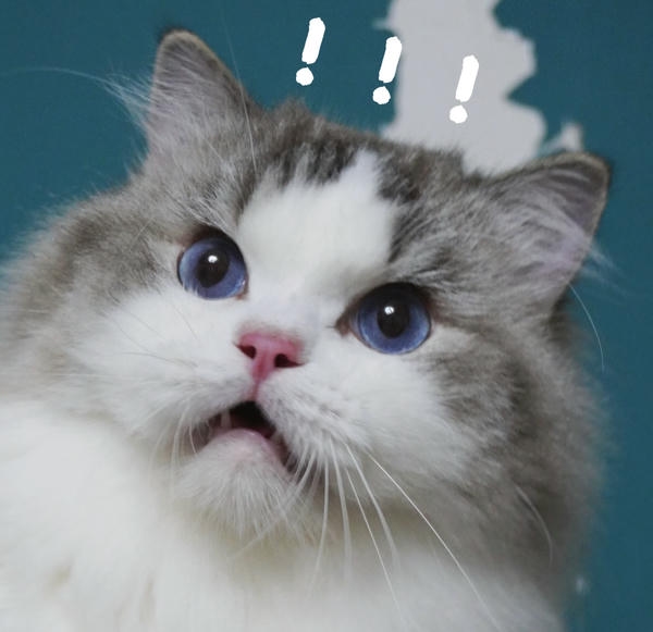Hình meme bất ngờ cực sốc