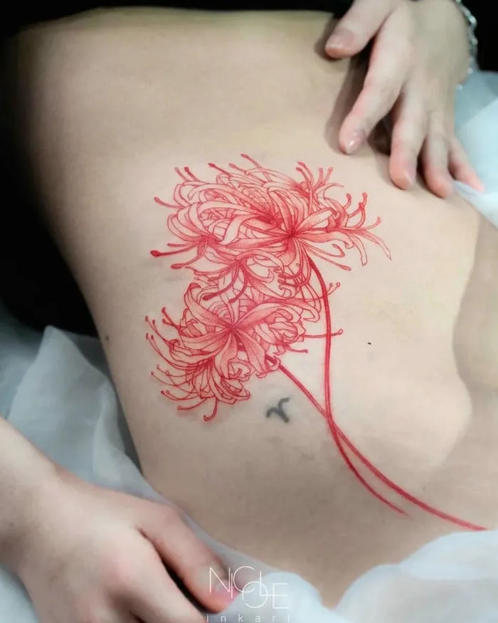 Hình xăm vùng kín hoa bỉ ngạn đỏ bên hông bụng