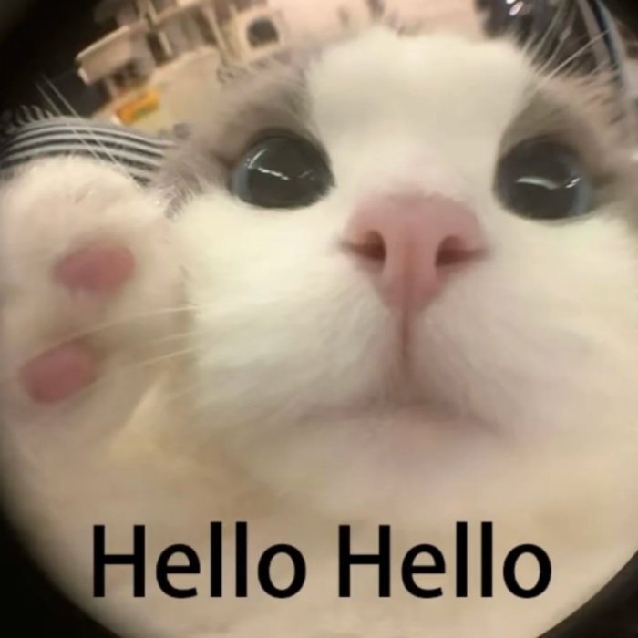 Buổi sáng thân thiện cùng meme chào buổi sáng