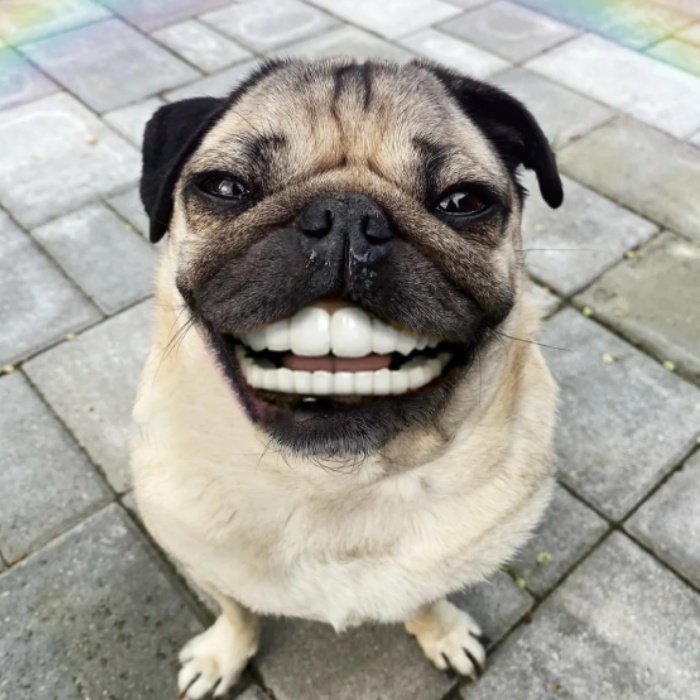 Câu chuyện vui cùng sticker mặt cười