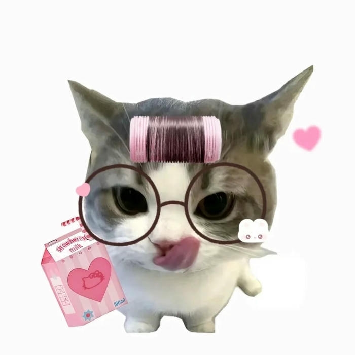 avatar mèo vô tri phong cách ngơ