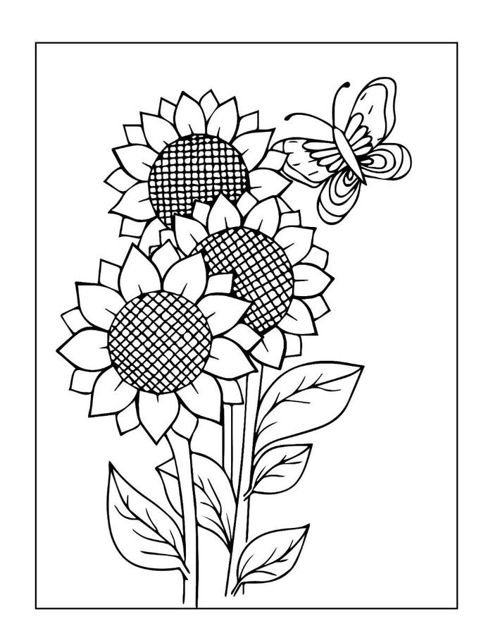 bản tô màu hướng dương và cành