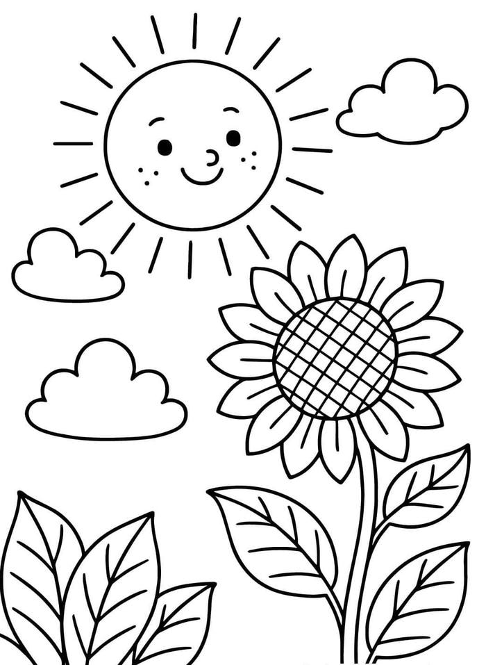 bông hướng dương tô màu cảm hứng mùa hè