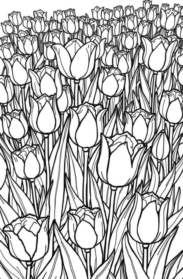 các tranh tô màu hoa tulip đẹp