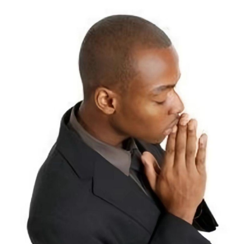 cách xin nhẹ một câu, gửi meme lạy