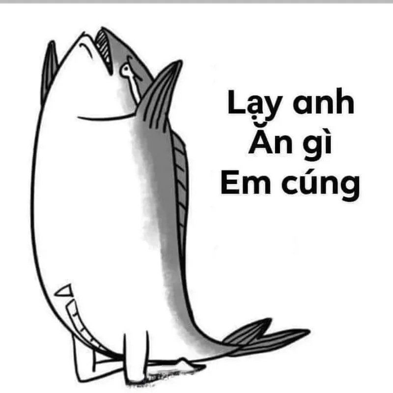 chạm đúng drama, mở ngay meme lạy