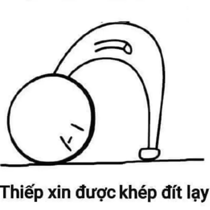 cố giải thích mãi, cuối cùng meme lạy