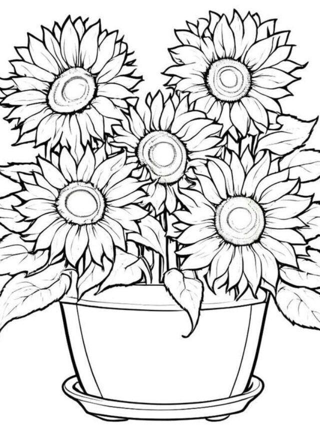 Tải miễn phí 116+ tranh tô màu hoa hướng dương cho bé tập tô