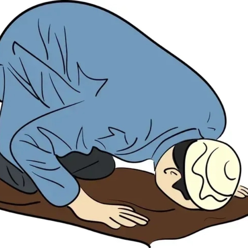 đặc trưng xin hoà bình chút, kèm meme lạy