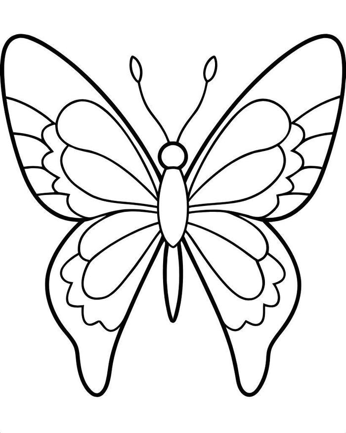 hình ảnh tô màu con bướm