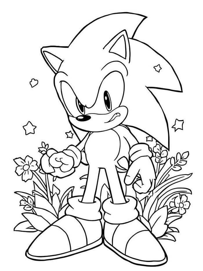 hình ảnh tranh tô màu sonic minh họa sinh động