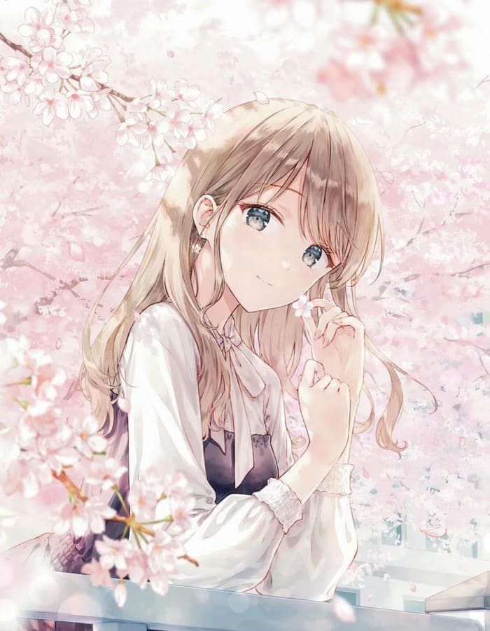 hình anime công viên anh đào