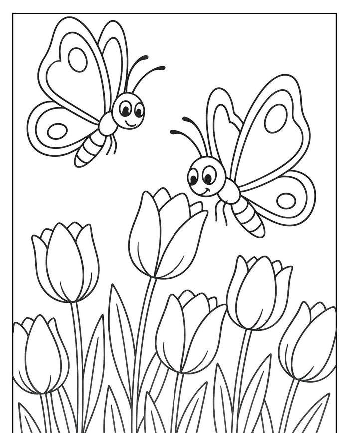 hình bướm gọn đẹp