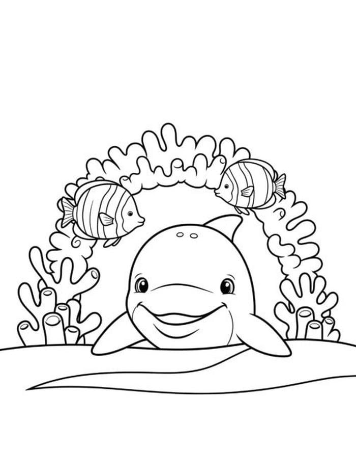 hình cá heo cho bé tô màu nét rõ ràng