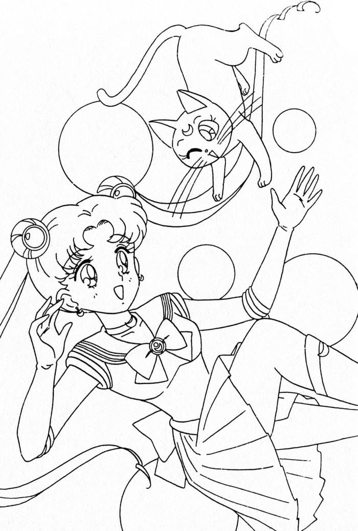 hình thủy thủ mặt trăng với mèo