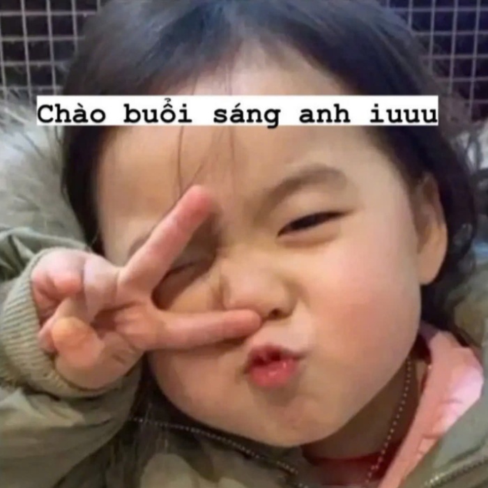 meme chào buổi sáng dễ thương