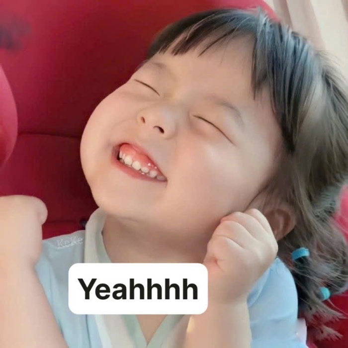 meme chào buổi sáng hài hước