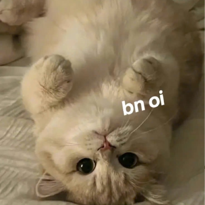 meme chào buổi sáng lan tỏa niềm vui