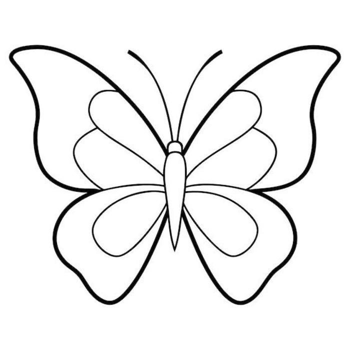 tô màu con bươm bướm